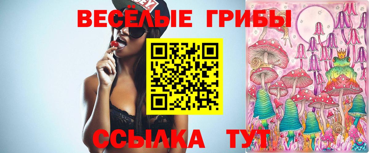 купить закладку  Галлюциногенные грибы Psilocybe  Вход с VPN  Череповец 